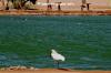 El Gouna Fishfarm 3645